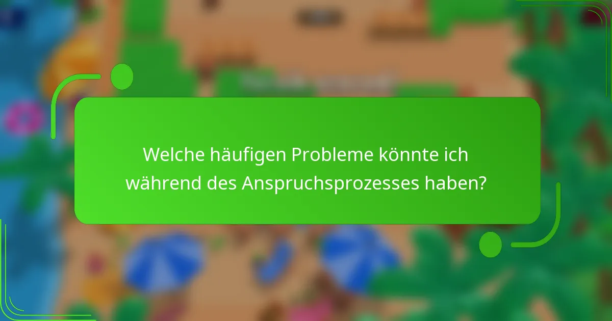 Welche häufigen Probleme könnte ich während des Anspruchsprozesses haben?